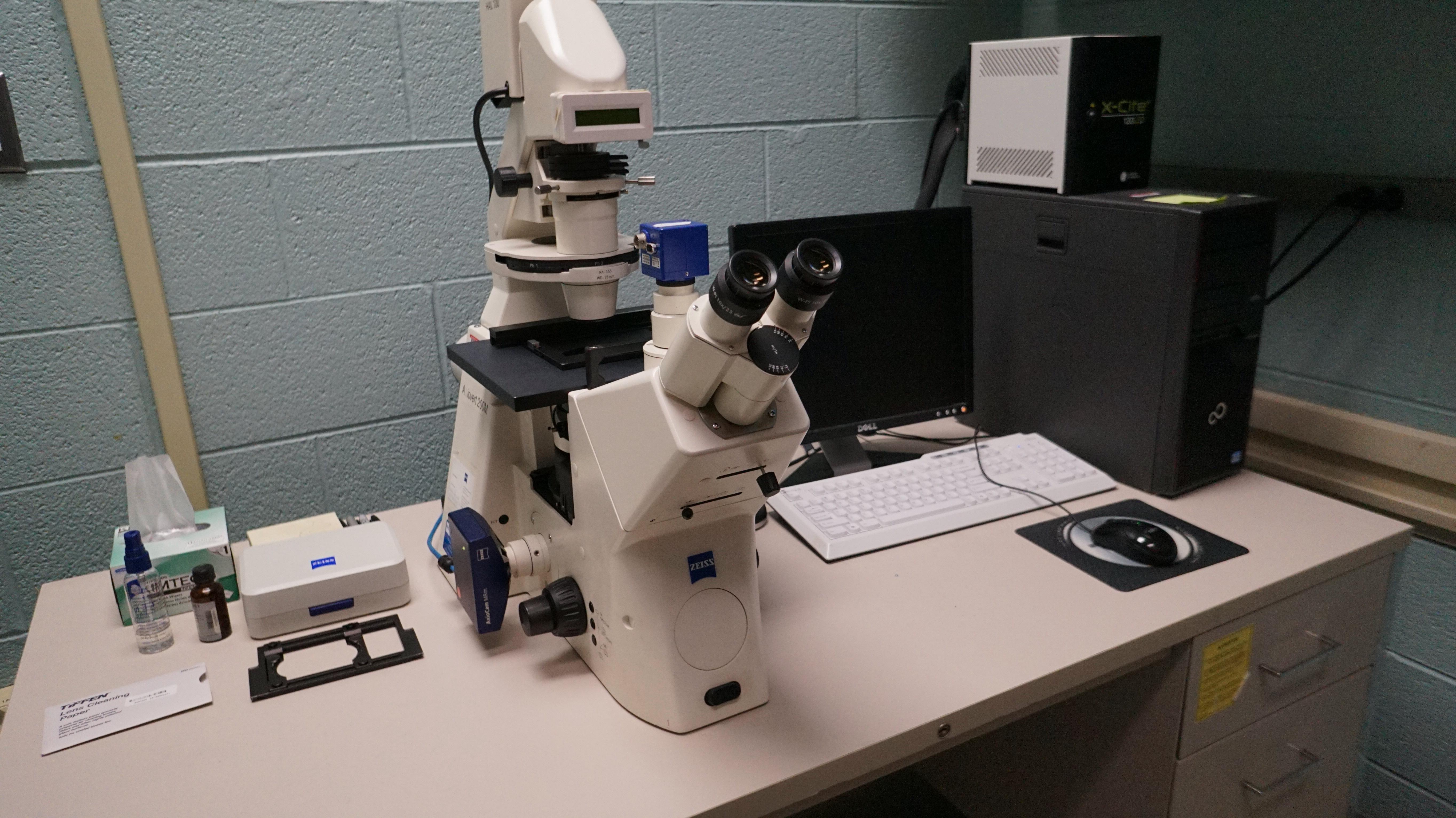 Axiovert 200M Epifluorescence Microscope