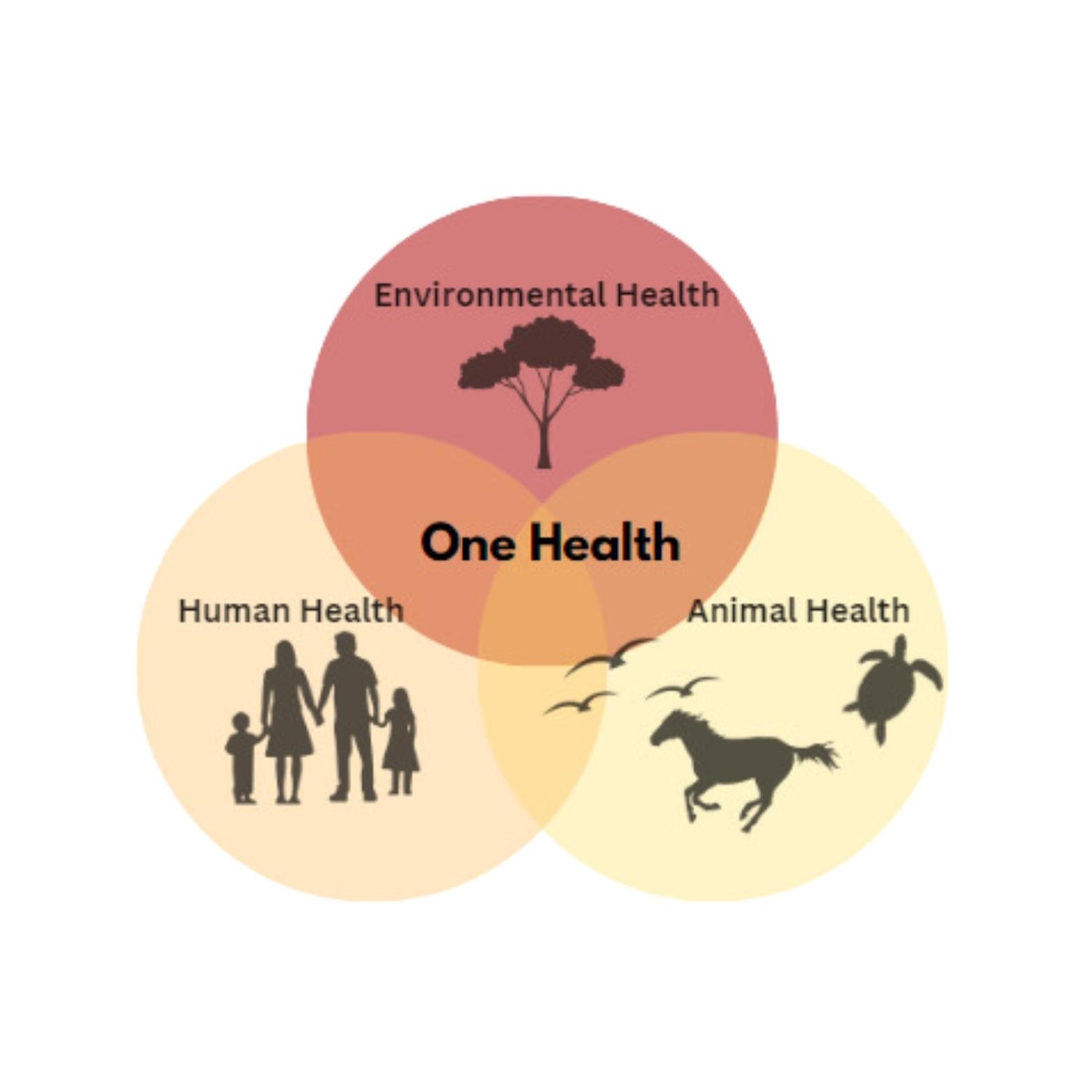 One Health encompasses environment, human, and animal health.